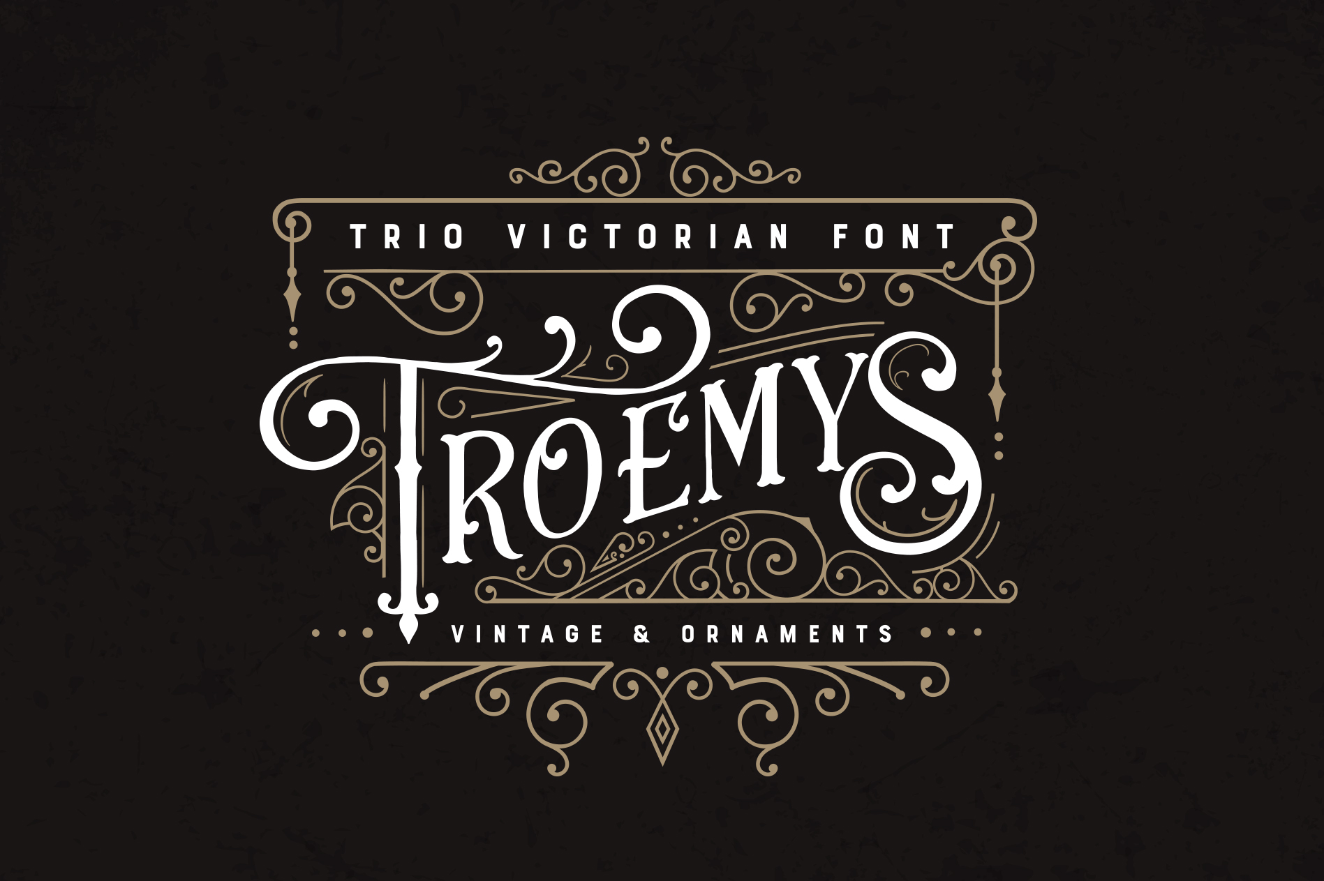 Bring Victorian Elegance to Modern Design with Troemys Font Trio