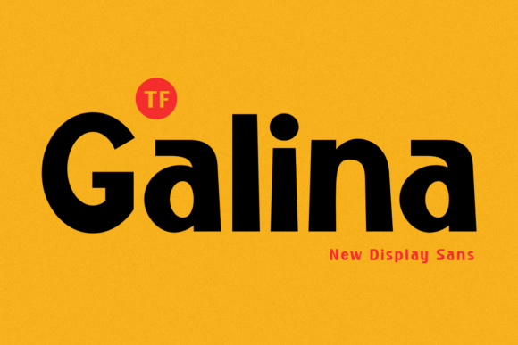 Galina Font: Modern Elegance with a Retro Soul